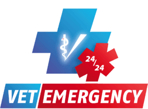 VetEmergency logo